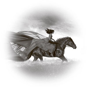 Иллюстрация к книге — Корона желаний [i_001.jpg]