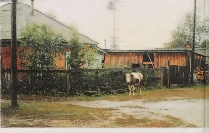 Иллюстрация к книге — Приговорен к расстрелу [i_005.jpg]