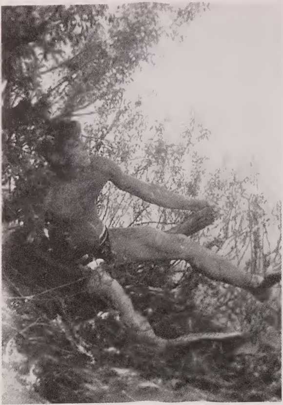 Иллюстрация к книге — Приговорен к расстрелу [i_016.jpg]