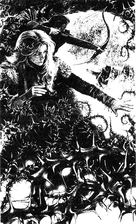 Иллюстрация к книге — Две невесты дракона  [i_001.jpg]