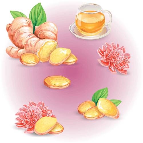 Иллюстрация к книге — Меняем пищевое поведение! Худеем вместе [i_026.jpg]