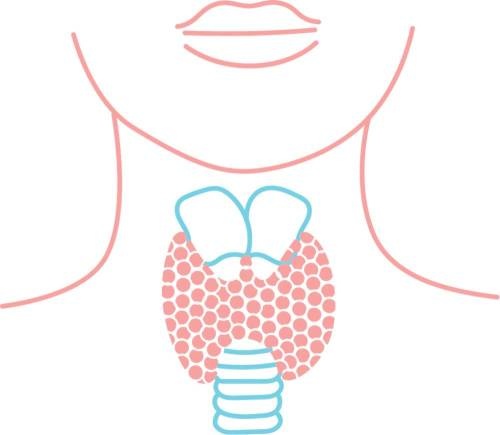 Иллюстрация к книге — Меняем пищевое поведение! Худеем вместе [i_033.jpg]