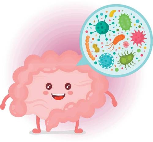 Иллюстрация к книге — Меняем пищевое поведение! Худеем вместе [i_040.jpg]