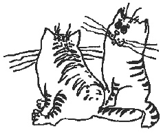 Иллюстрация к книге — Наш первый месяц. Пошаговые инструкции по уходу за новорожденным [i_015.jpg]