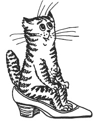 Иллюстрация к книге — Наш первый месяц. Пошаговые инструкции по уходу за новорожденным [i_023.jpg]