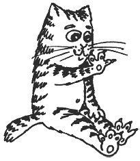 Иллюстрация к книге — Наш первый месяц. Пошаговые инструкции по уходу за новорожденным [i_027.jpg]