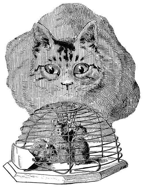 Иллюстрация к книге — Таинственный мир кошек. Мифология, история и наука о сверхъестественных способностях самого независимого домашнего питомца [i_011.jpg]