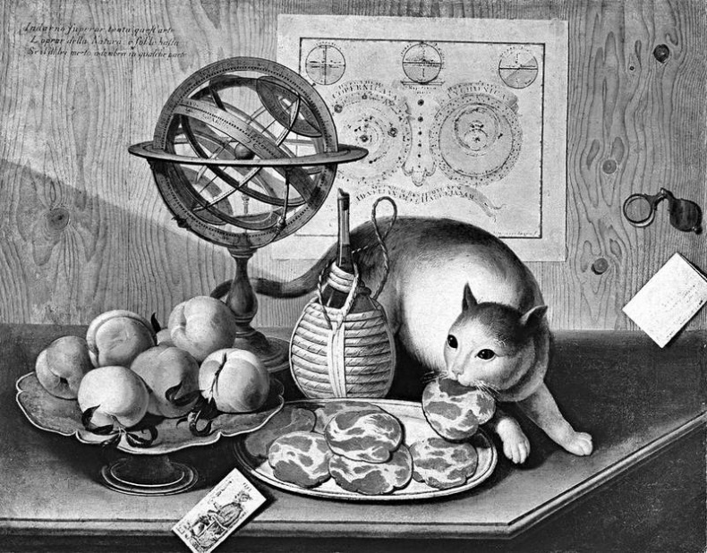 Иллюстрация к книге — Таинственный мир кошек. Мифология, история и наука о сверхъестественных способностях самого независимого домашнего питомца [i_022.jpg]