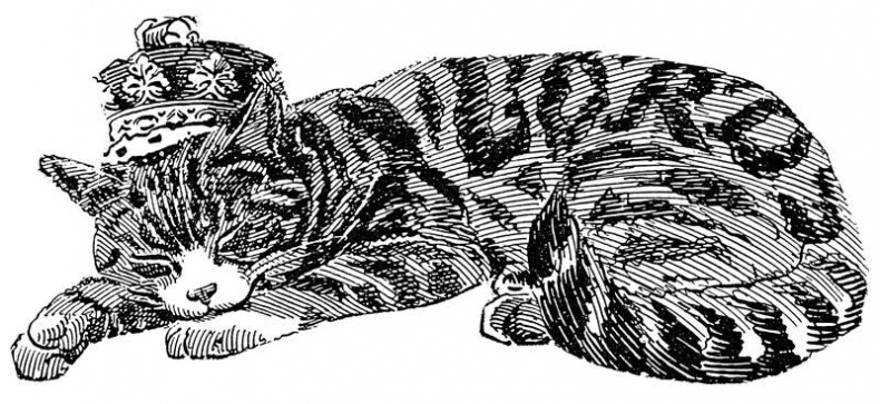 Иллюстрация к книге — Таинственный мир кошек. Мифология, история и наука о сверхъестественных способностях самого независимого домашнего питомца [i_023.jpg]