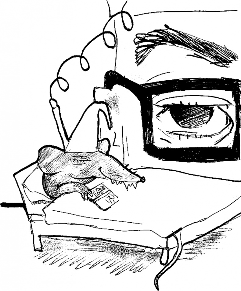 Иллюстрация к книге — Мозг материален [i_015.jpg]