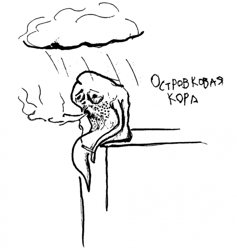 Иллюстрация к книге — Мозг материален [i_026.jpg]