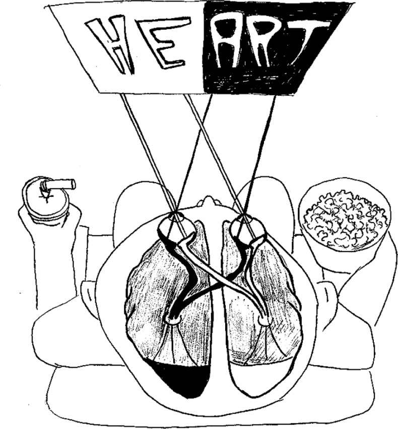 Иллюстрация к книге — Мозг материален [i_027.jpg]