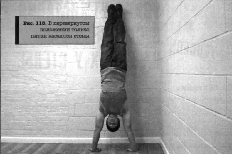 Иллюстрация к книге — Тренировочная зона. Секретная система физических тренировок [_136.jpg]