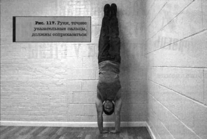 Иллюстрация к книге — Тренировочная зона. Секретная система физических тренировок [_138.jpg]