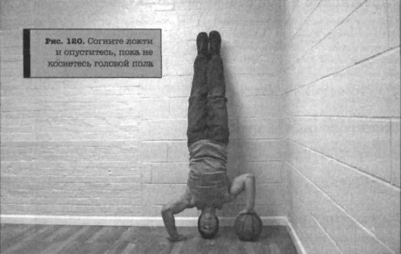 Иллюстрация к книге — Тренировочная зона. Секретная система физических тренировок [_141.jpg]