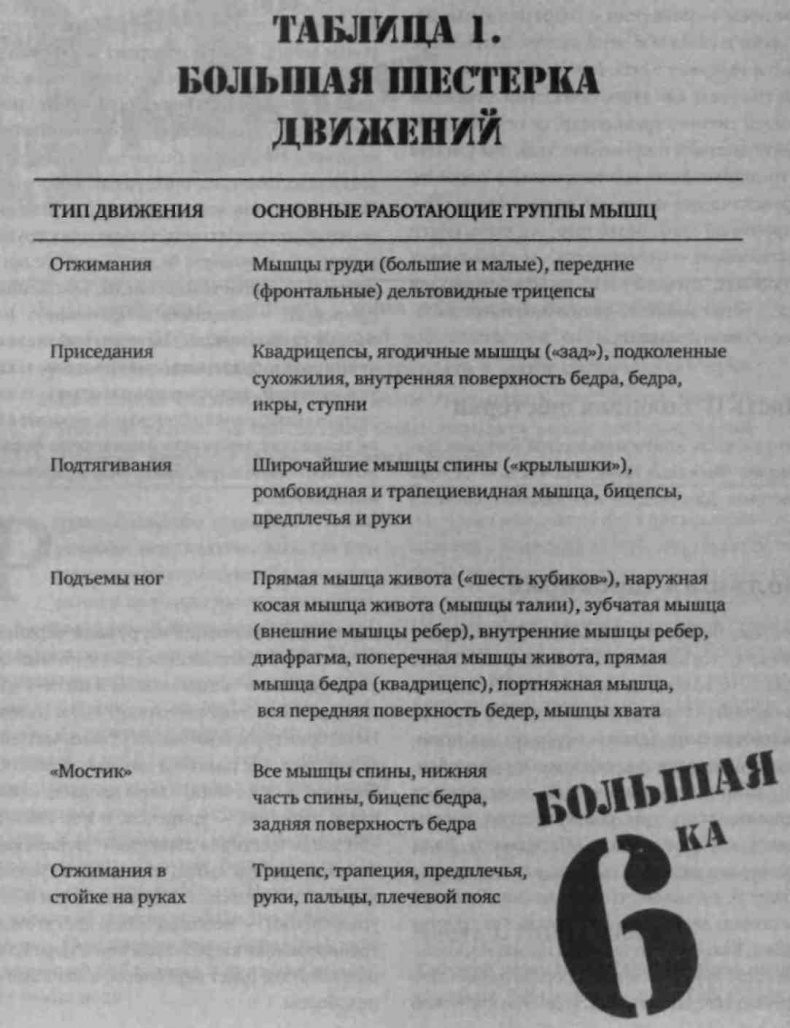 Иллюстрация к книге — Тренировочная зона. Секретная система физических тренировок [_8.jpg]