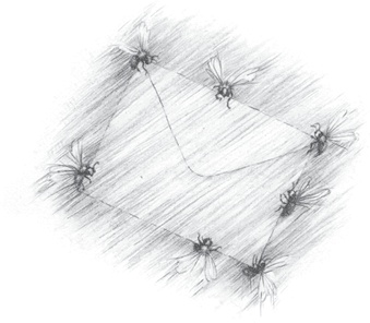 Иллюстрация к книге — Где-то там гиппопотам  [i_001.jpg]