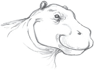 Иллюстрация к книге — Где-то там гиппопотам  [i_018.jpg]