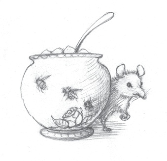 Иллюстрация к книге — Где-то там гиппопотам  [i_019.jpg]