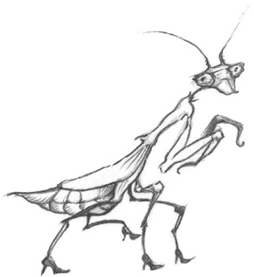 Иллюстрация к книге — Где-то там гиппопотам  [i_031.jpg]