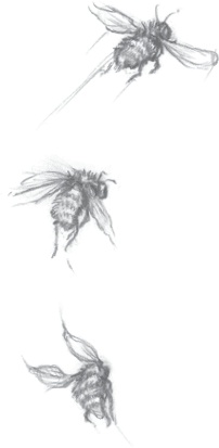 Иллюстрация к книге — Где-то там гиппопотам  [i_034.jpg]