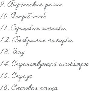 Иллюстрация к книге — Где-то там гиппопотам  [i_046.jpg]