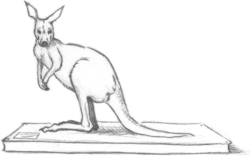 Иллюстрация к книге — Где-то там гиппопотам  [i_055.jpg]