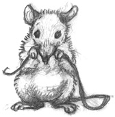 Иллюстрация к книге — Где-то там гиппопотам  [i_069.jpg]