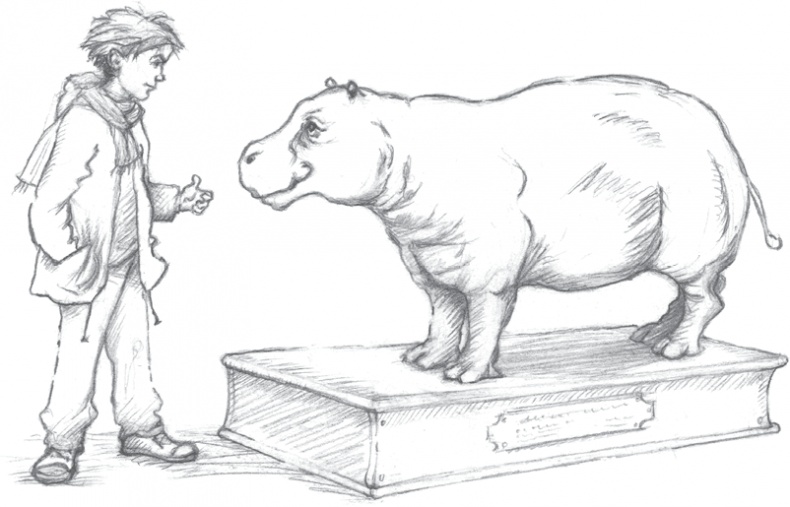 Иллюстрация к книге — Где-то там гиппопотам  [i_074.jpg]