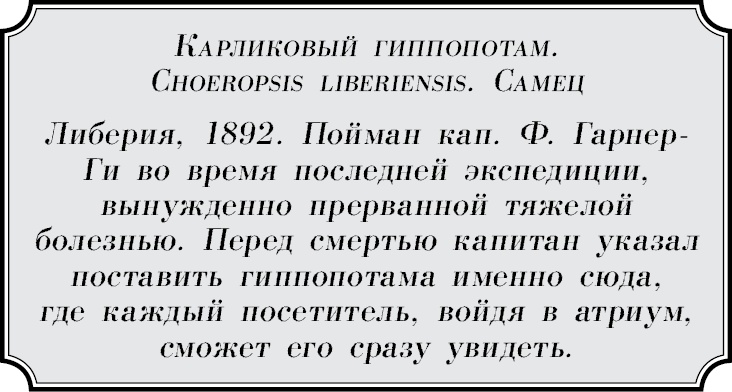 Иллюстрация к книге — Где-то там гиппопотам  [i_075.jpg]