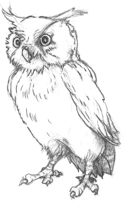 Иллюстрация к книге — Где-то там гиппопотам  [i_079.jpg]