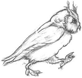 Иллюстрация к книге — Где-то там гиппопотам  [i_097.jpg]