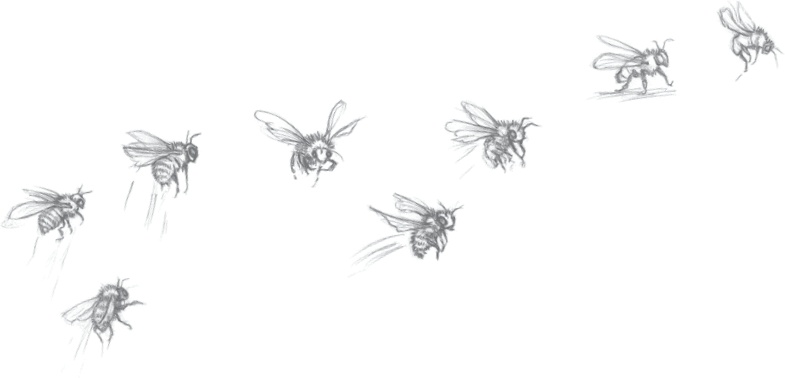 Иллюстрация к книге — Где-то там гиппопотам  [i_098.jpg]