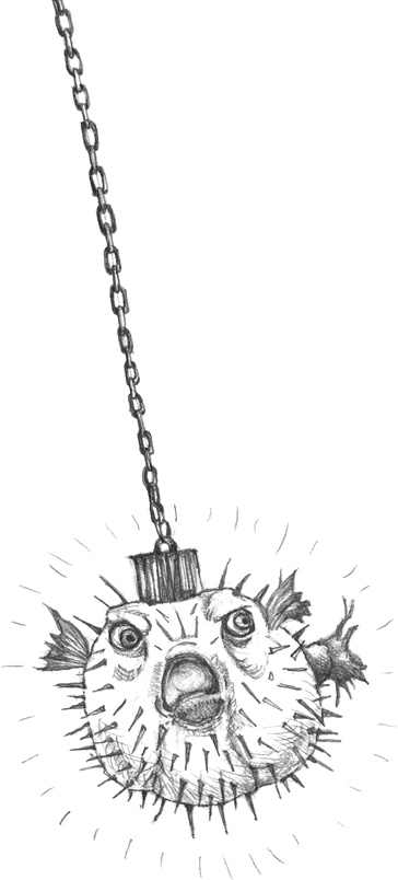 Иллюстрация к книге — Где-то там гиппопотам  [i_142.jpg]