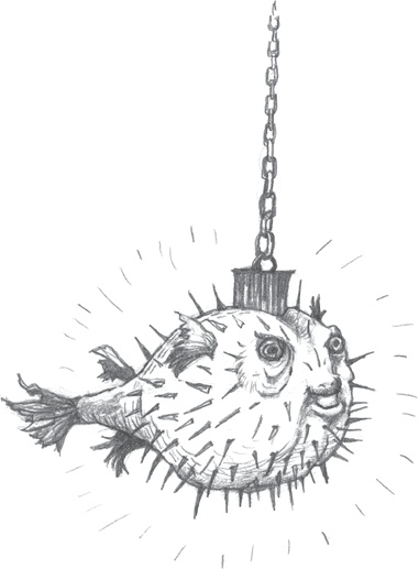 Иллюстрация к книге — Где-то там гиппопотам  [i_150.jpg]