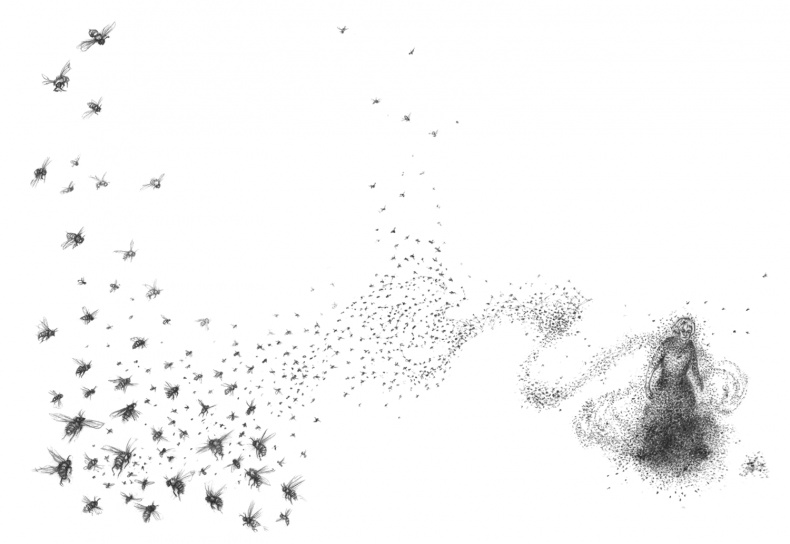 Иллюстрация к книге — Где-то там гиппопотам  [i_152.jpg]