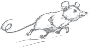 Иллюстрация к книге — Где-то там гиппопотам  [i_154.jpg]