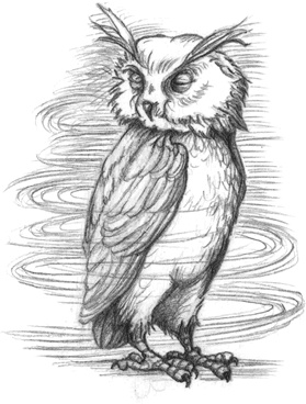 Иллюстрация к книге — Где-то там гиппопотам  [i_156.jpg]