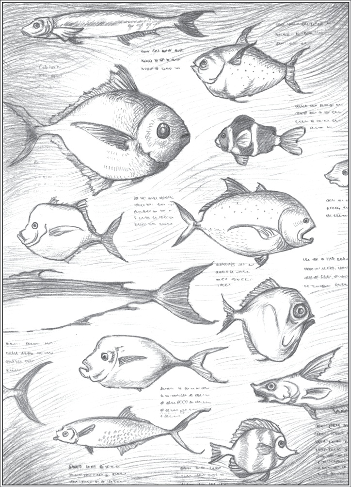 Иллюстрация к книге — Где-то там гиппопотам  [i_159.jpg]