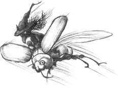 Иллюстрация к книге — Где-то там гиппопотам  [i_167.jpg]