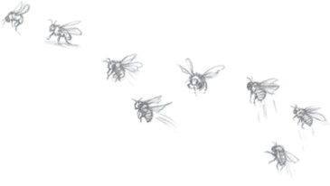 Иллюстрация к книге — Где-то там гиппопотам  [i_170.jpg]