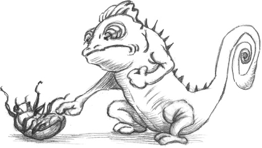 Иллюстрация к книге — Где-то там гиппопотам  [i_174.jpg]