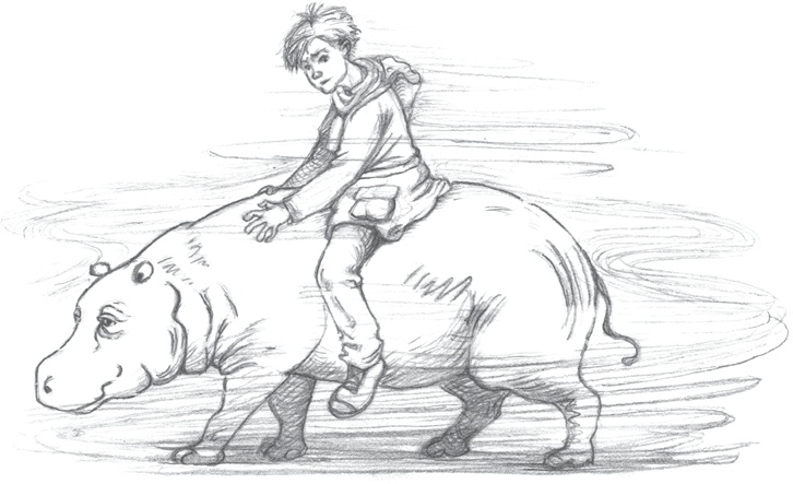 Иллюстрация к книге — Где-то там гиппопотам  [i_185.jpg]