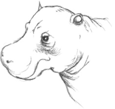 Иллюстрация к книге — Где-то там гиппопотам  [i_189.jpg]