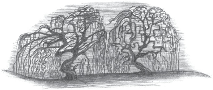 Иллюстрация к книге — Где-то там гиппопотам  [i_196.jpg]