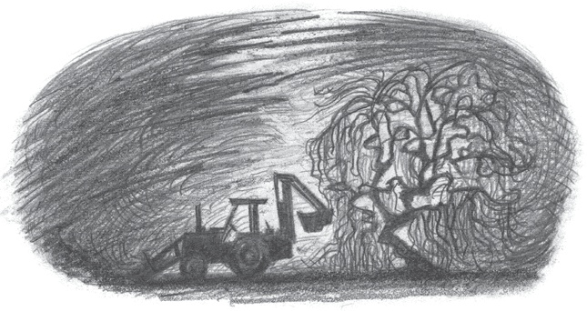 Иллюстрация к книге — Где-то там гиппопотам  [i_201.jpg]