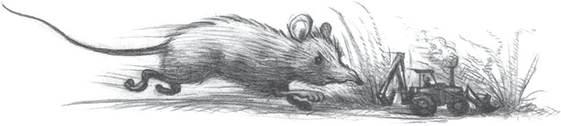 Иллюстрация к книге — Где-то там гиппопотам  [i_218.jpg]