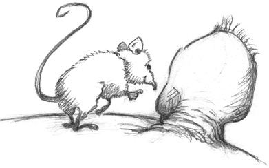 Иллюстрация к книге — Где-то там гиппопотам  [i_225.jpg]