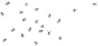 Иллюстрация к книге — Где-то там гиппопотам  [i_226.jpg]