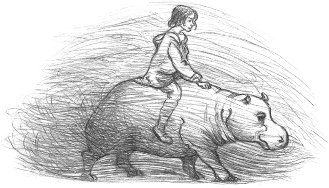 Иллюстрация к книге — Где-то там гиппопотам  [i_228.jpg]